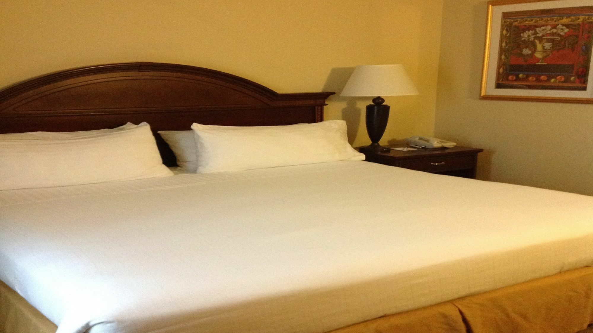 Holiday Inn Express Hotel & Suites Pigeon Forge By Ihg Exterior foto